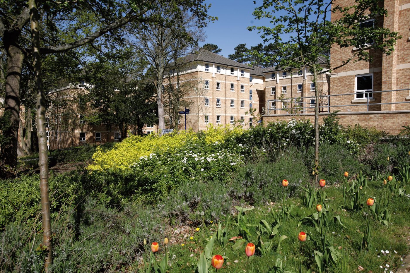 Expanding Oxford Brookes' Student Village UPP Ltd
